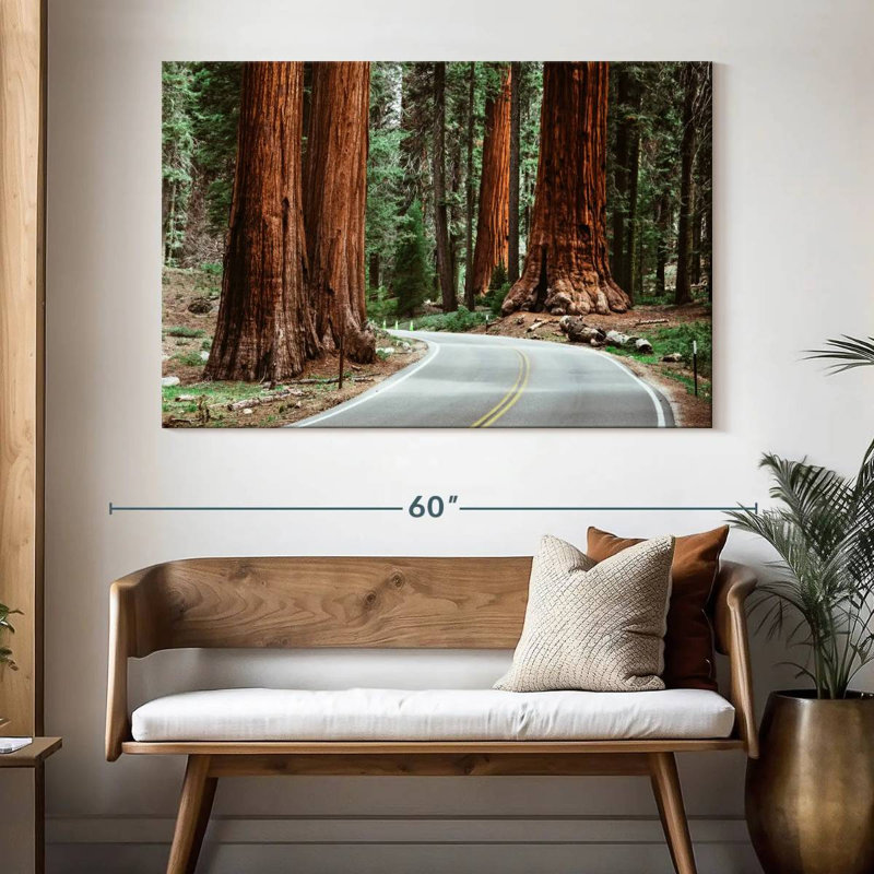 Harnek Sequoia Park Road, H 34 po x l 51 po