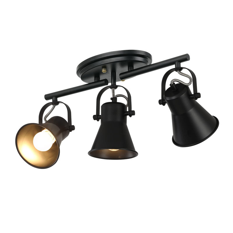 3-Light Black Track Lighting Kit