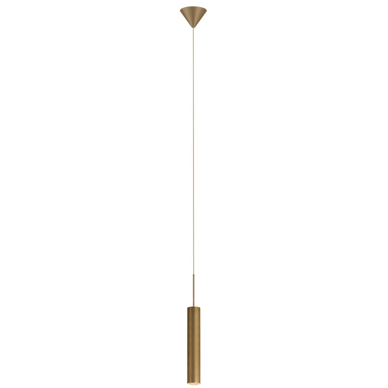 Luminaire suspendu à 1 lumière DEL Régionald, Champagne brossé