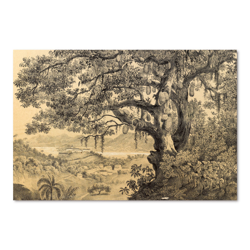 Nature of South America Old Image VII - Peinture sur toile, H 40 po x l 60 po x P 1,5 po, Toile tendue