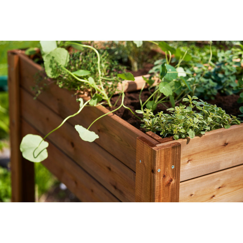 Lit de jardin surélevé en bois 3 pi x 3 pi