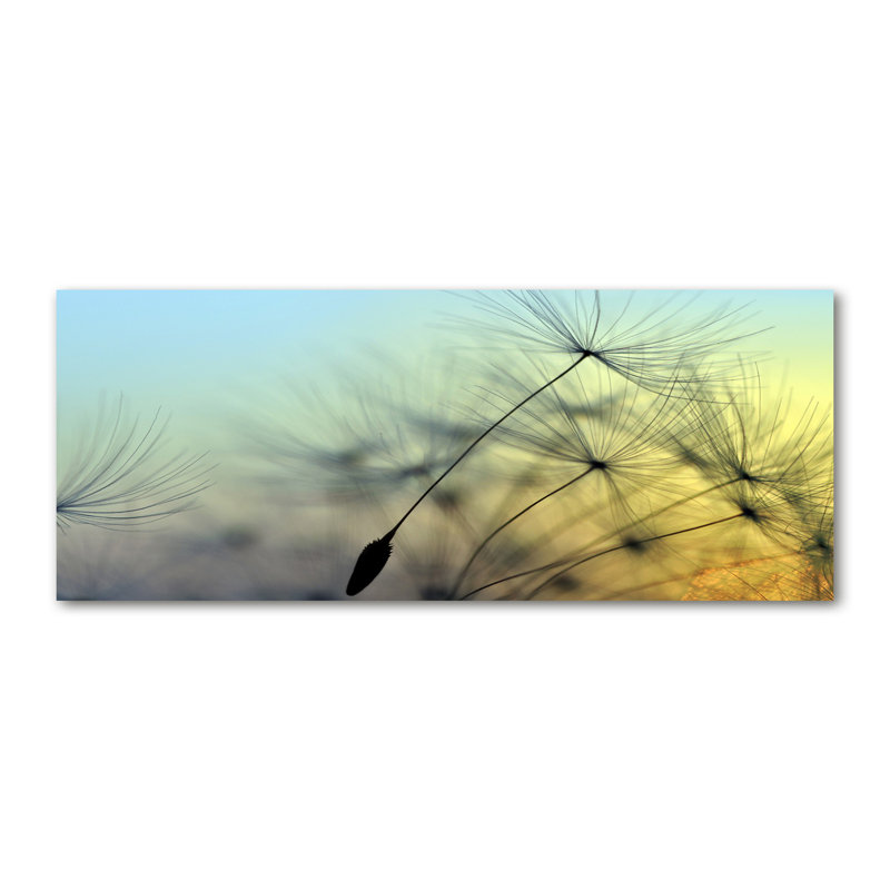 Dandelion Seeds - Print, Glass, 70cm H x 100cm W x 4cm D