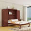 Lit escamotable avec armoire intégrée et tablettes de rangement-1035354550-1035354551