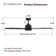 Pendry 56'' Ceiling Fan