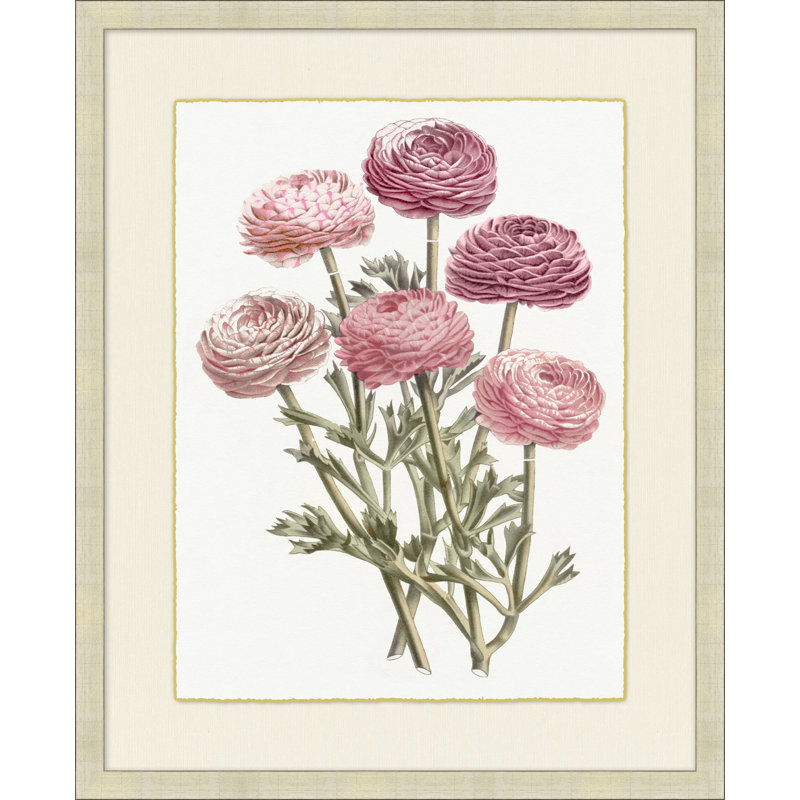 Blush Florals 3 - Peinture encadrée sur papier