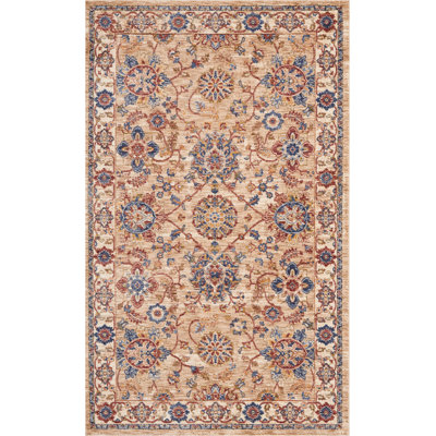 Baumgartner Oriental Area Rug