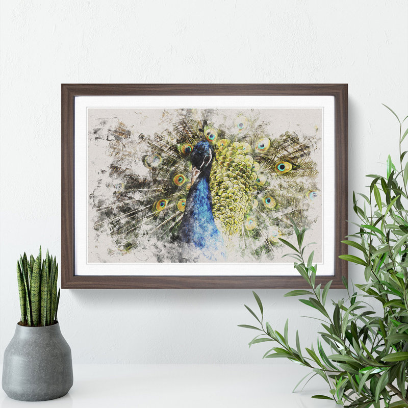 Peacock Vol.2 - Picture Frame Graphic Art, 36cm H x 48cm W x 2cm D, Walnut Framed