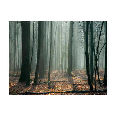 Murale forêt Davelle Witches