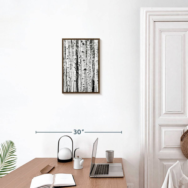 Bouleau en noir et blanc, Floating Frame Walnut, 13" x 19"