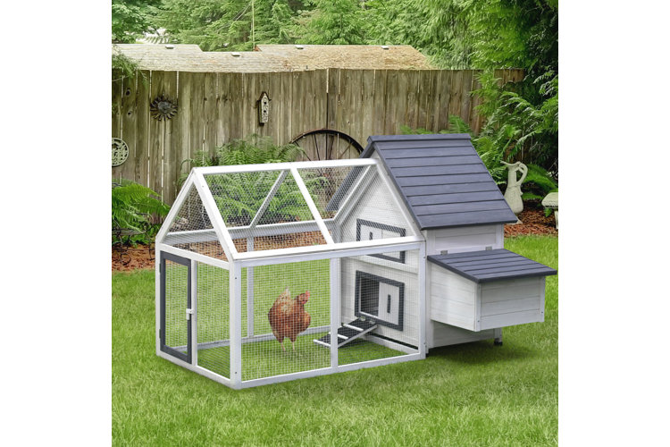 White backyard chicken coop.