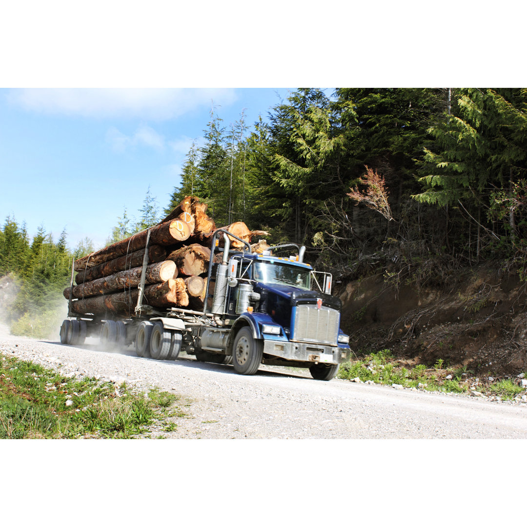 Lkw gefüllt mit Baumstämmen