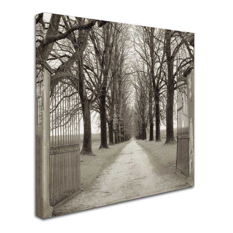 Alan Blaustein «Veneto Giardini I», reproduction de photo sur toile tendue, H 18 po x l 18 po x P 2 po