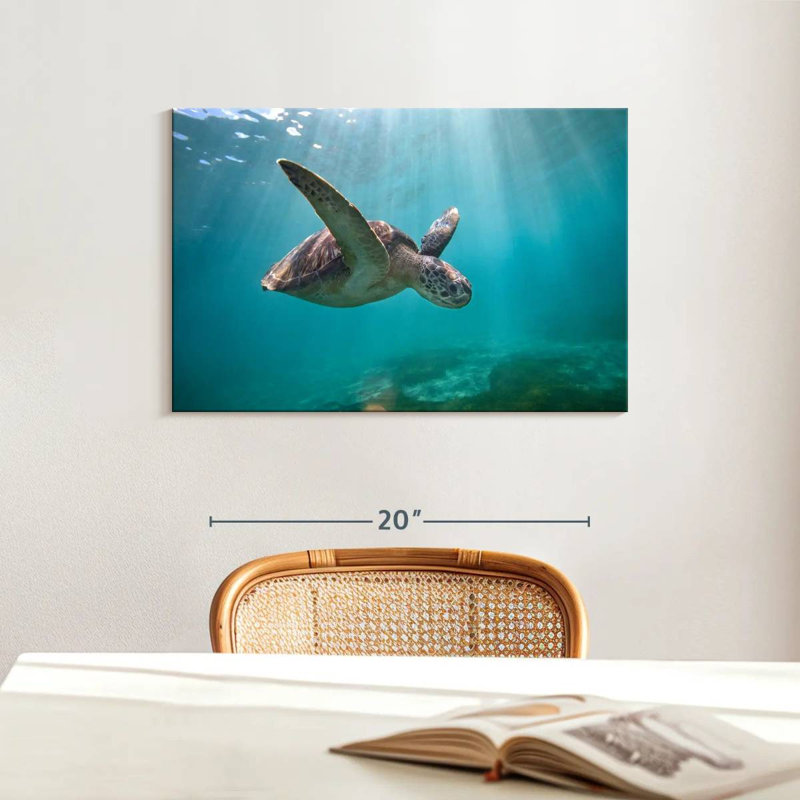 Tortue de mer Brampt Martinique, H 16 po x l 24 po