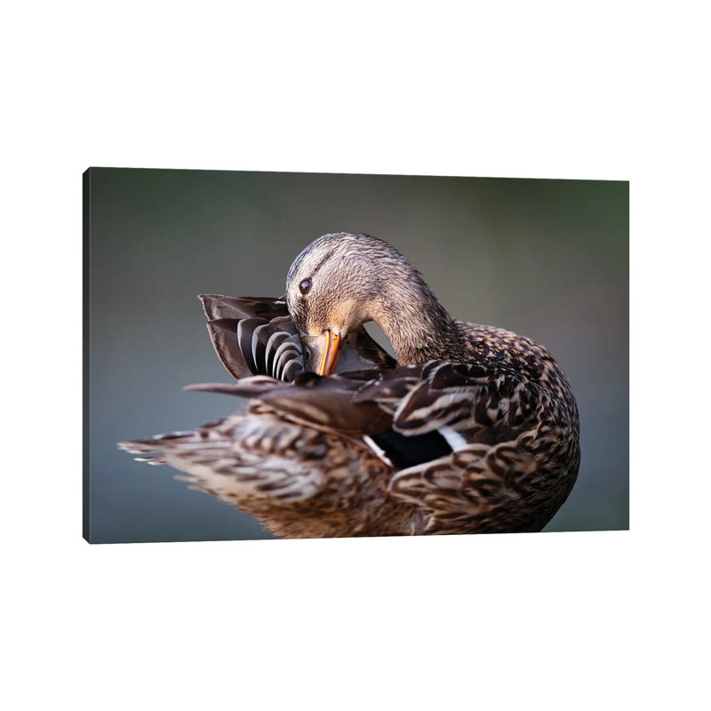 Madame by Mateusz Piesiak - Wrapped Canvas Print, 66.04 cm H x 45.72 cm W