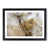Black Framed selected