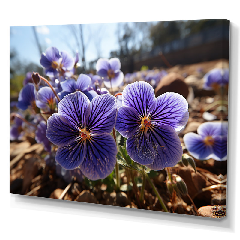 " Vibrant Violets Field Photo I ", 24" H x 32" W, Wrapped Canvas