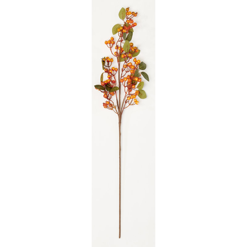 Vaporisateur 31 "baies d'automne, Orange