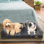 Hundebett Dog Beds Bolster Cushion-60063084