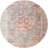 Oriental Indoor Rug