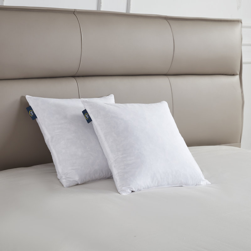 Serta 20x20'' Decorative Pillow Insert 2 Pack