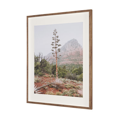 Agave On The Rocks By Kelly Frere Framed Art Print Matted Under Glass