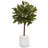 24'' Faux Foliage Tree in Glass Planter