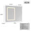 Manigault 700 Wall Mounted Framed Mirrored Bathroom Cabinets 4 Adjustable Shelves with Mirror