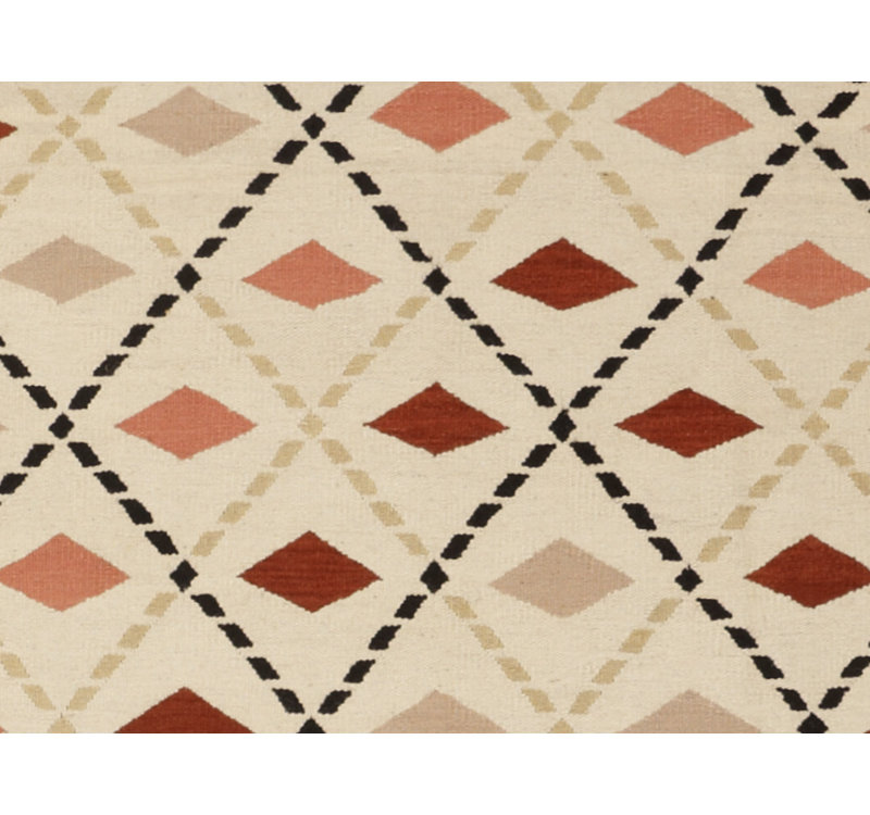 Southwestern Area Rug in Beige