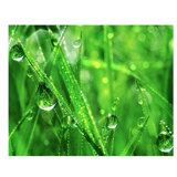 Macro Grass II Print by Chelsea Art Studio
