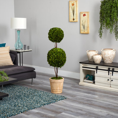 Preserved Boxwood Topiary in Planter