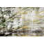 « building columns » par parvez taj,, reproduction de photo sur toile tendue-15030801