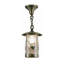 Fulton Outdoor Hanging Lantern
