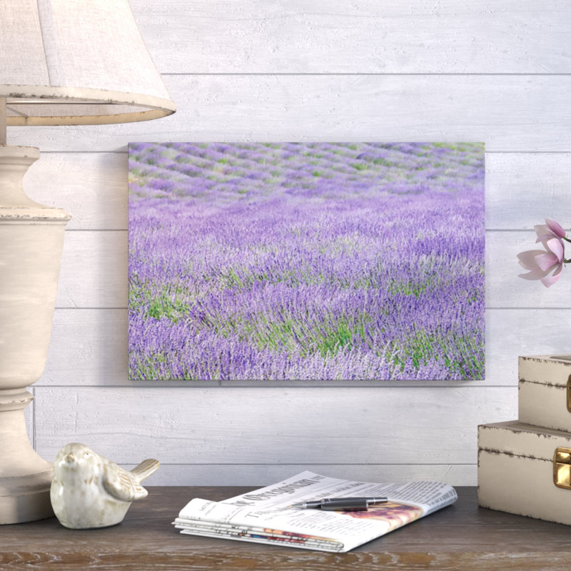 « lavande fields i »-reproduction de photo, H 24 po x l 36 po x P 2 po, Toile