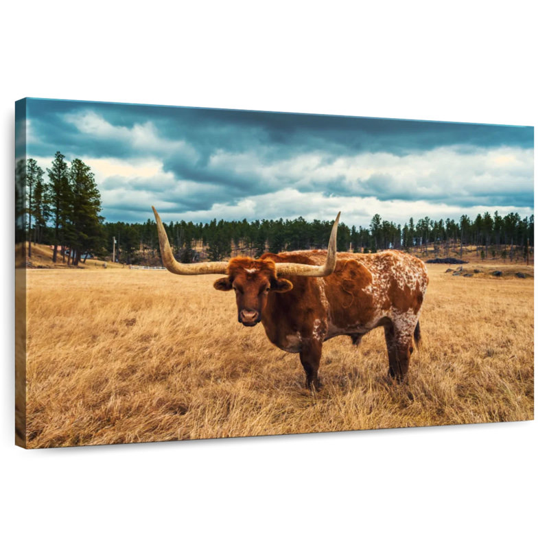 Brampt Texas Longhorn At Custer Park