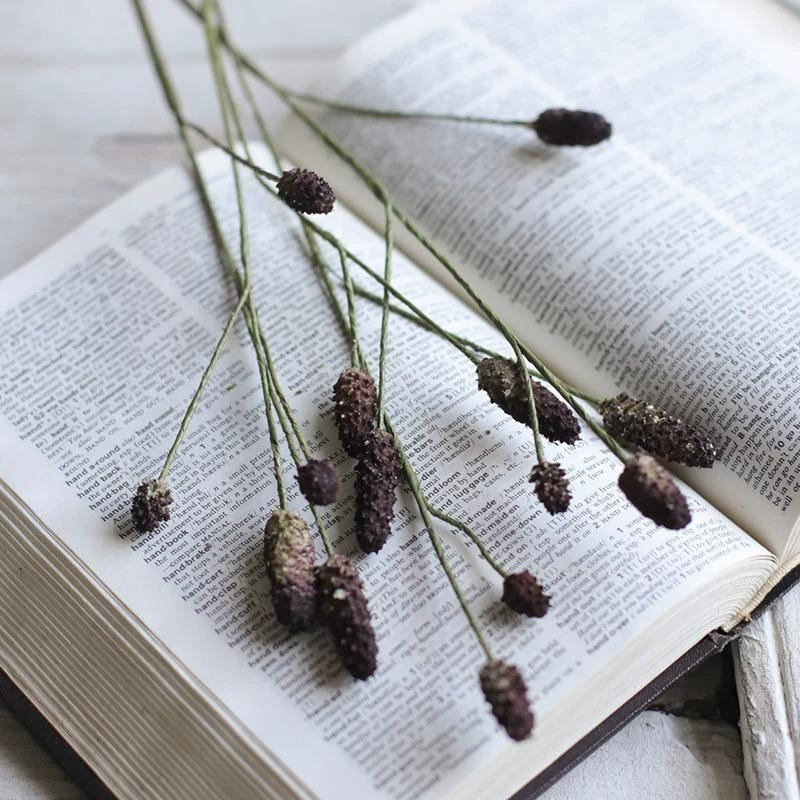 Vaporisateur de sang Sanguisorba, Speckled Violet, [A] 1 Stem