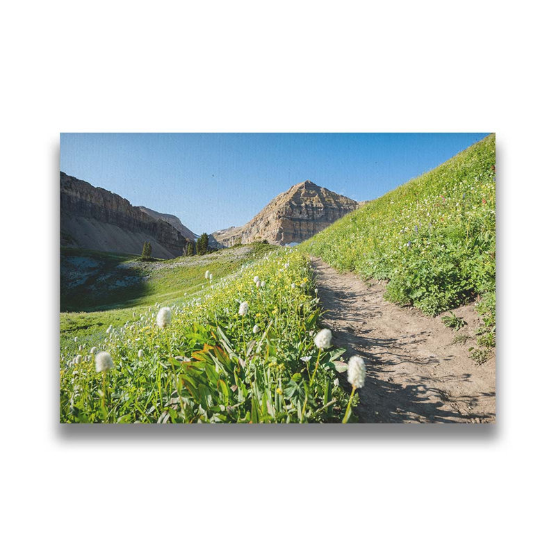 Timpanogos Back Country par Scott Barlow. Estampe numérique, image, Toile tendue, Ne s’applique pas, H 30 po x l 45 po