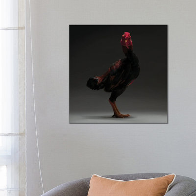 Japanese Shamo by CHICken - Wrapped Canvas Print