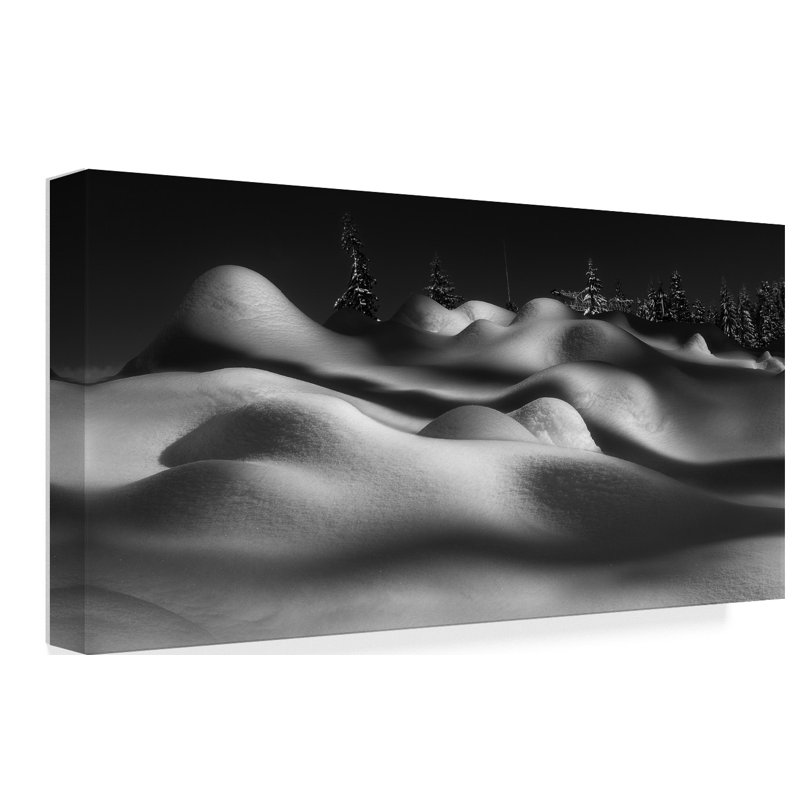 «Sleeping Beauties» par Meisha, impression sur toile tendue, H 24 po x l 47 po x P 2 po