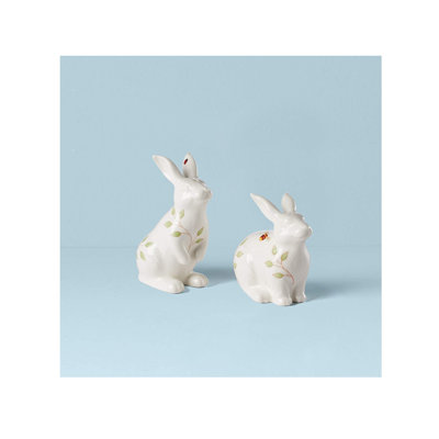 Lapin papillon poivre et sel figuratif