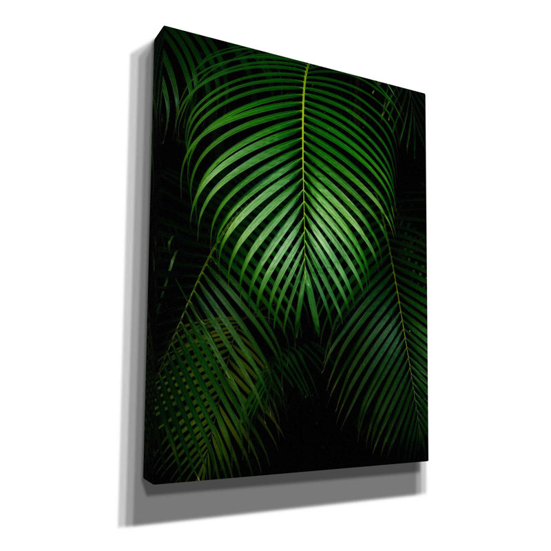 Tropical IV - impression sur toile tendue, H 16 po x l 12 po x P 0,75 po