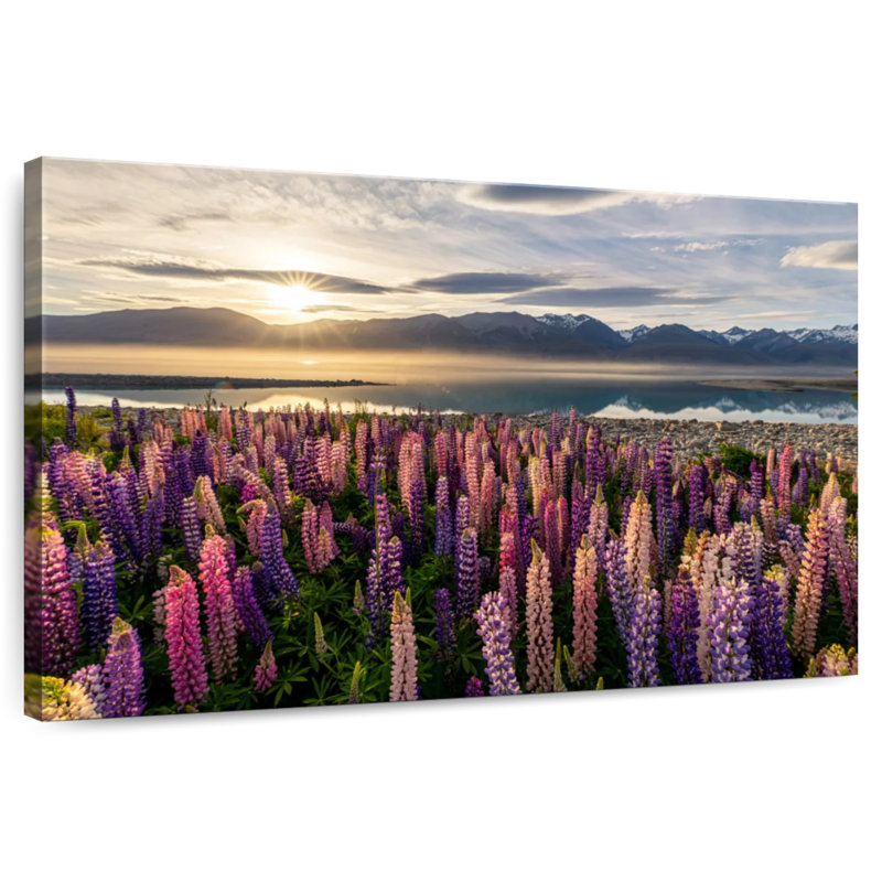 Harnek Lupine Sunset Landscape, 26" H x 39" W
