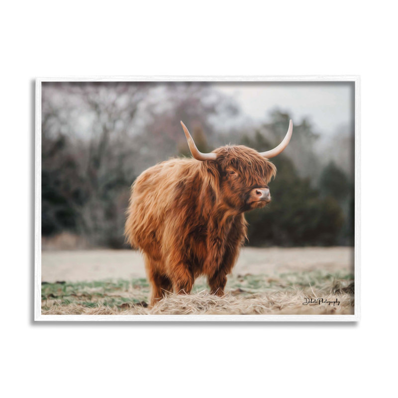 Seren Highland Clever, L 14 po x H 11 po, Cadre blanc