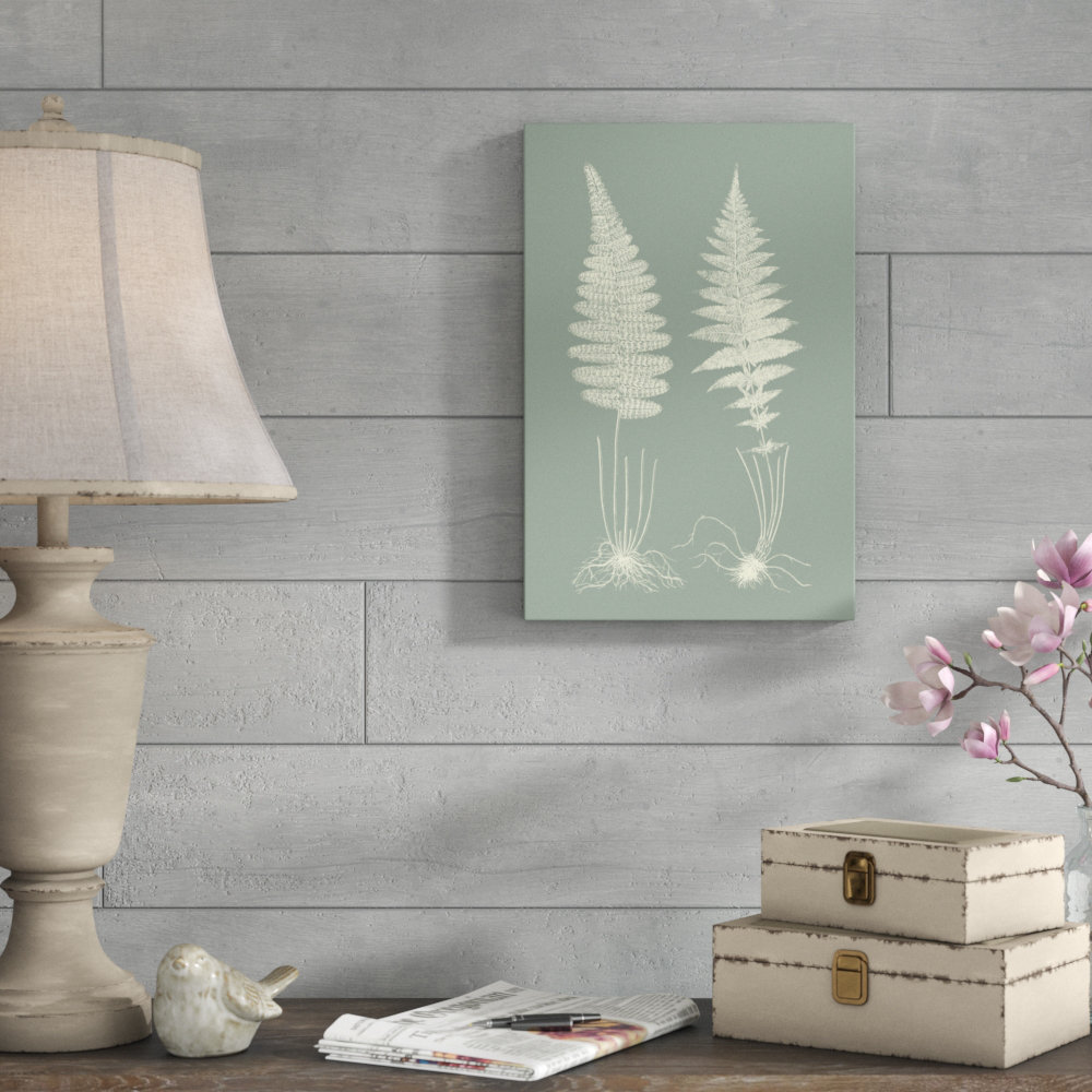 " Ferns On Sage VI " by Vision Studio Painting Print Sand & Stable™ 