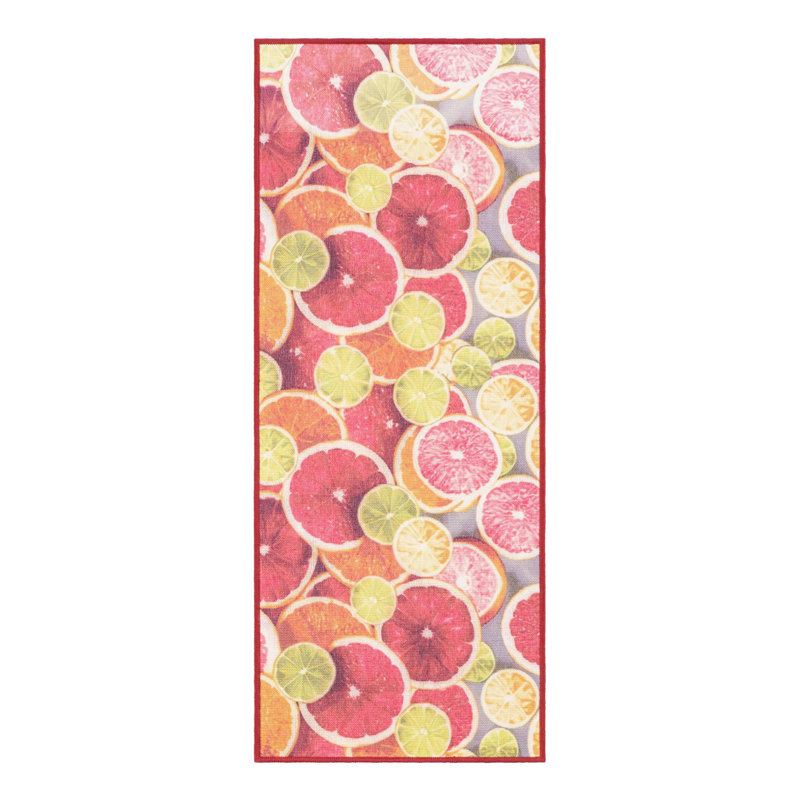 Tapis intérieur / extérieur Jill Zarin Antigua, Tapis de couloir 2 pi x 5 pi 1 po