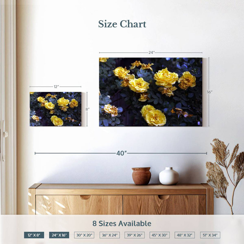 Harnek Yellow Roses Bush