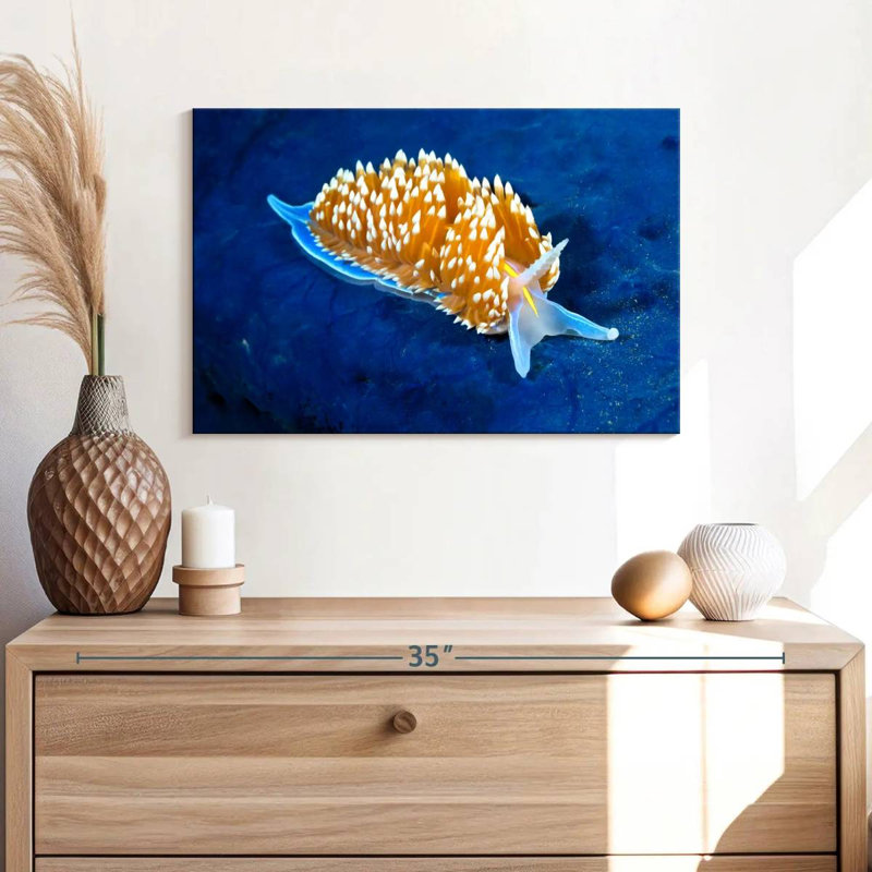 Crowle Glowing Nudibranch, 16" H x 24" W