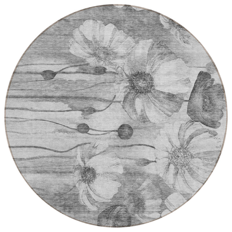  Emblyn Area Rug, Round 8'