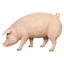 Statue de cochon de ferme divin