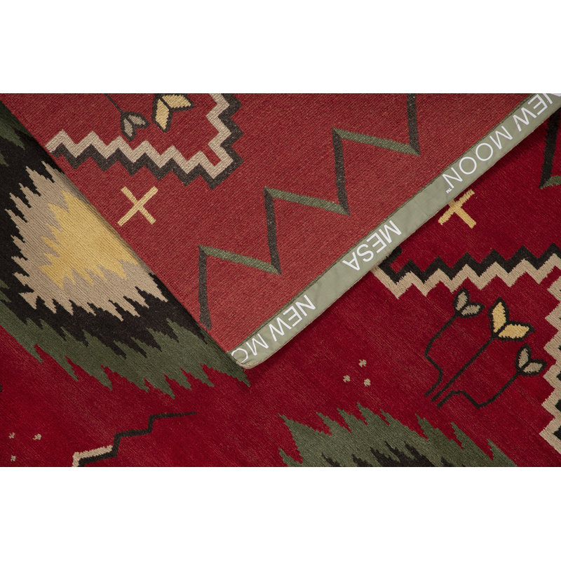 Mesa Wool Southwestern Area Rug, Rectangle 10' x 14'