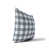 Blue Gingham